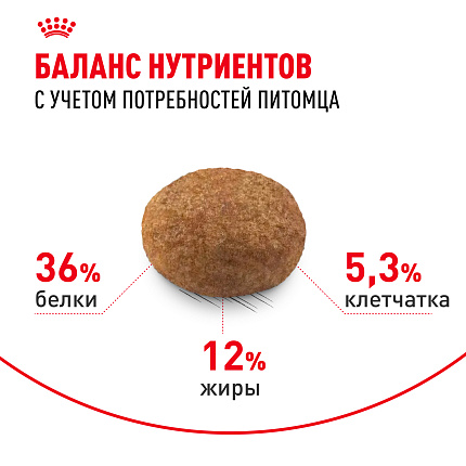 Сухой корм Royal Canin Sterilised 7+ для стерилизованных кошек в возрасте от 7 до 12 лет, 400 гр